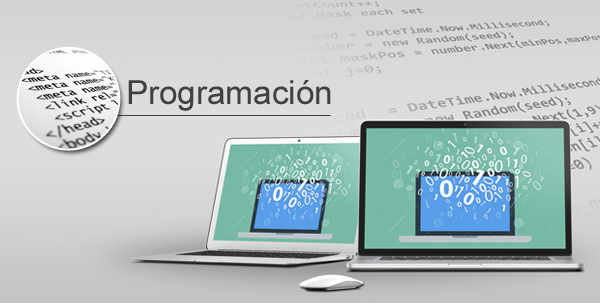 Sistemas personalizados